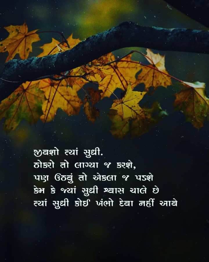 સુવિચાર