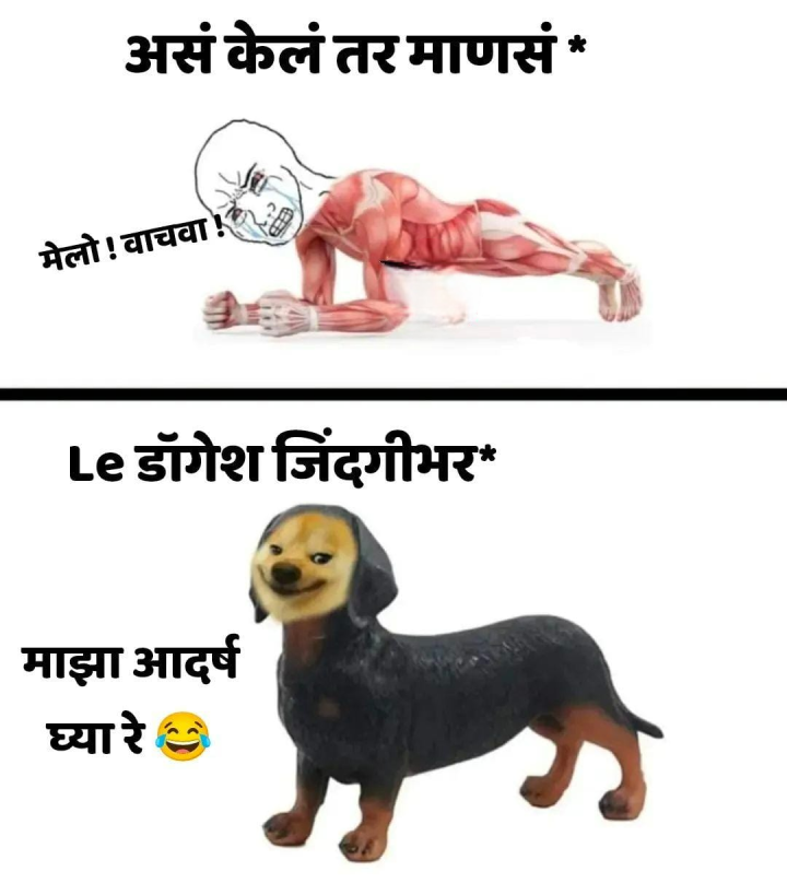 यांचा आदर्श घ्या