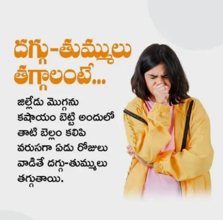దగ్గు - తుమ్ములు తగ్గాలంటే ఈ ముఖ్యమైన చిట్కాలు పాటించండి..!