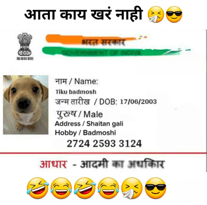 आता काही खरं नाही