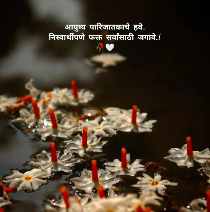 आयुष्य आणि पारिजातक