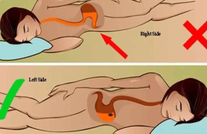 ನಾವು ಯಾವಾಗ್ಲೂ ಎಡಭಾಗದಲ್ಲಿ ಮಲಗಿಯೇ ನಿದ್ರಿಸ್ಬೇಕು