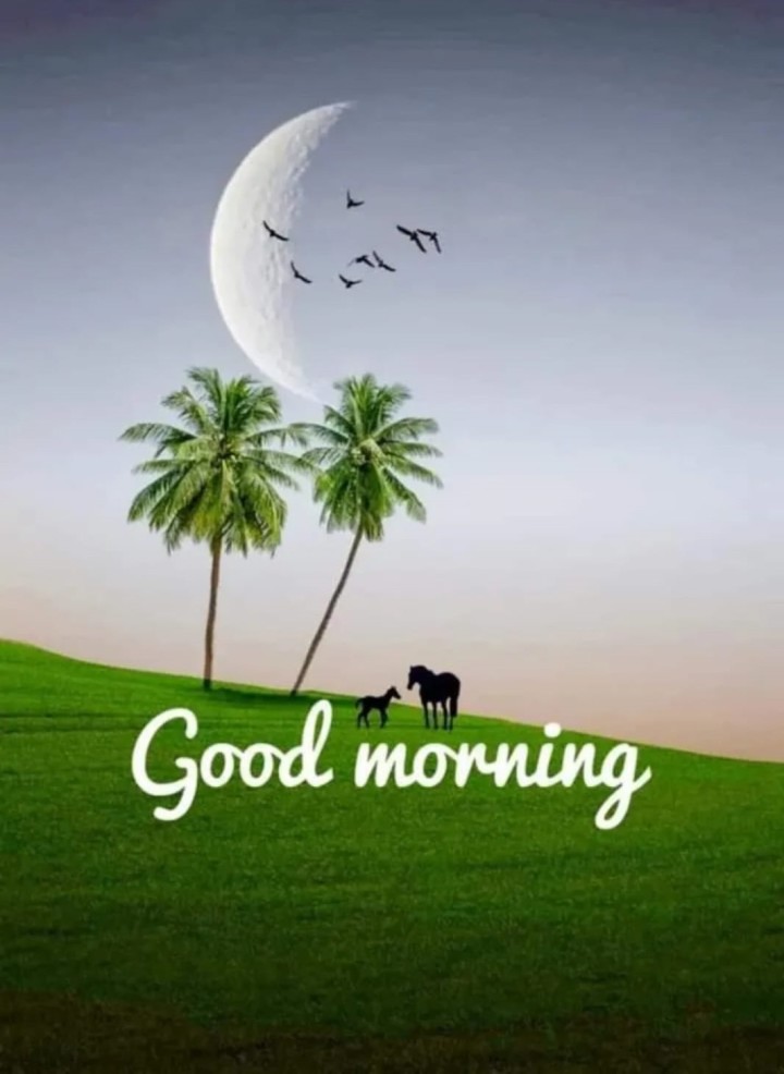 ഏവർക്കും ശുഭദിനം നേരുന്നു