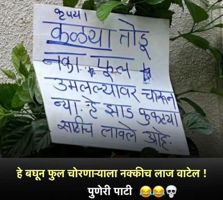 पुणेरी पाट्या