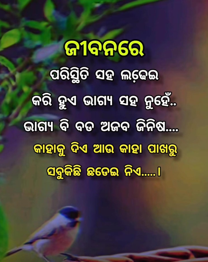 ଜୀବନରେ ପରିସ୍ଥିତି ସହ ଲାଡେଇ କରି ହୁଏ