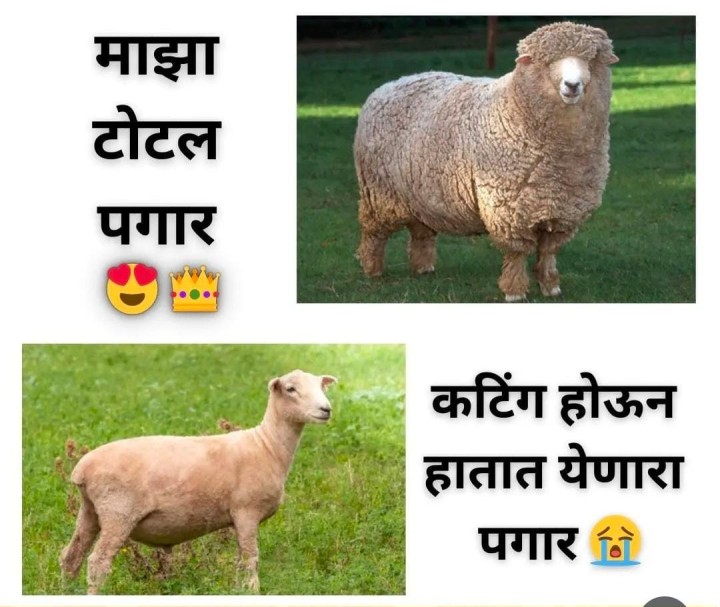 दिवाळी मधल दिवाळी