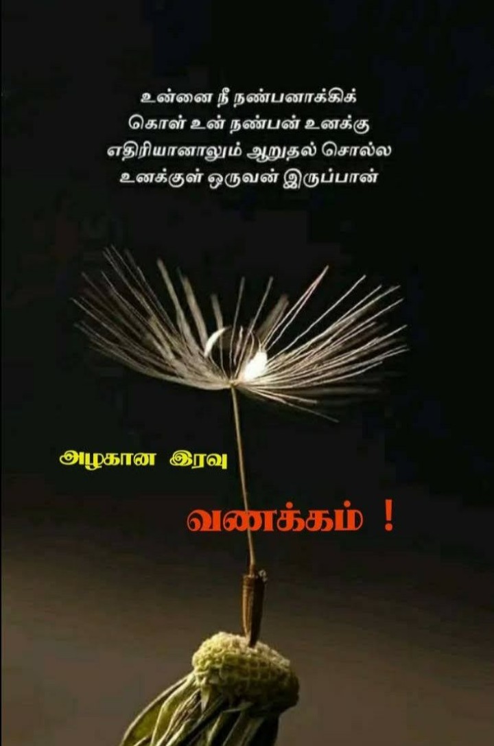 நாளைய நாள் உங்கள் வாழ்க்கையின் அற்புதமான நாளாக அமையும்..இனிய இரவு வணக்கம்.