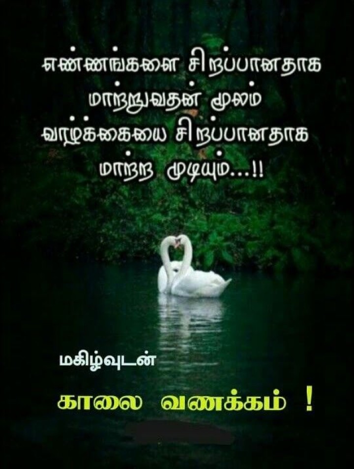 இன்று வரும் துன்பங்களை கண்டு ஒழிந்தால் நாளை வரும் துன்பங்களை யார் வரவேற்பது.. காலை வணக்கம்!