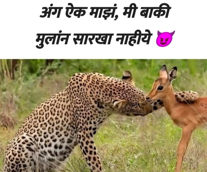 मुलं असंच म्हणतात