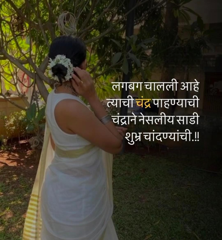 शुभ्र चांदण्याची साडी