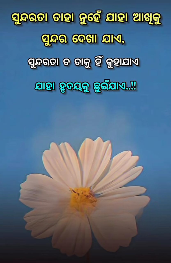 ସୁନ୍ଦରତା ତାହା ନୁହେଁ