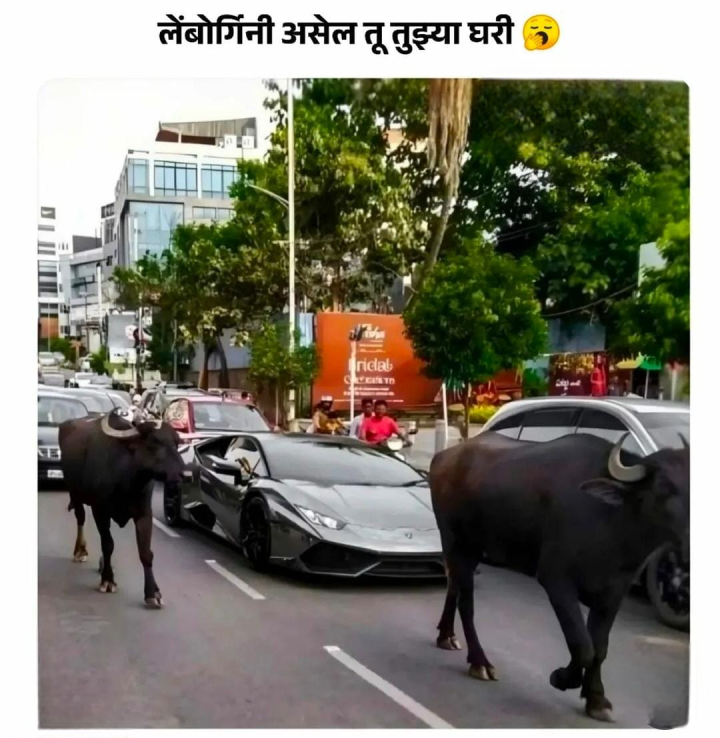 लेम्बोर्गिनी असेल तुझ्या घरी