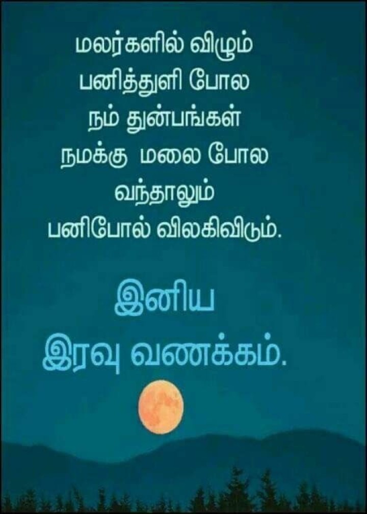 குட்டி இரவில் செல்ல தூக்கத்தில் சின்ன கனவு காணும் செல்ல இதயத்திற்கு சின்ன மனசு சொல்லும் இரவு வணக்கும்.