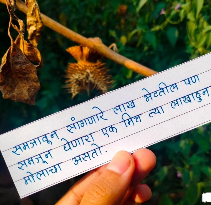 लाख मोलाचा मित्र