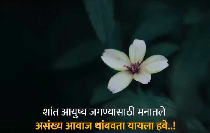 शांत आयुष्य जगण्यासाठी