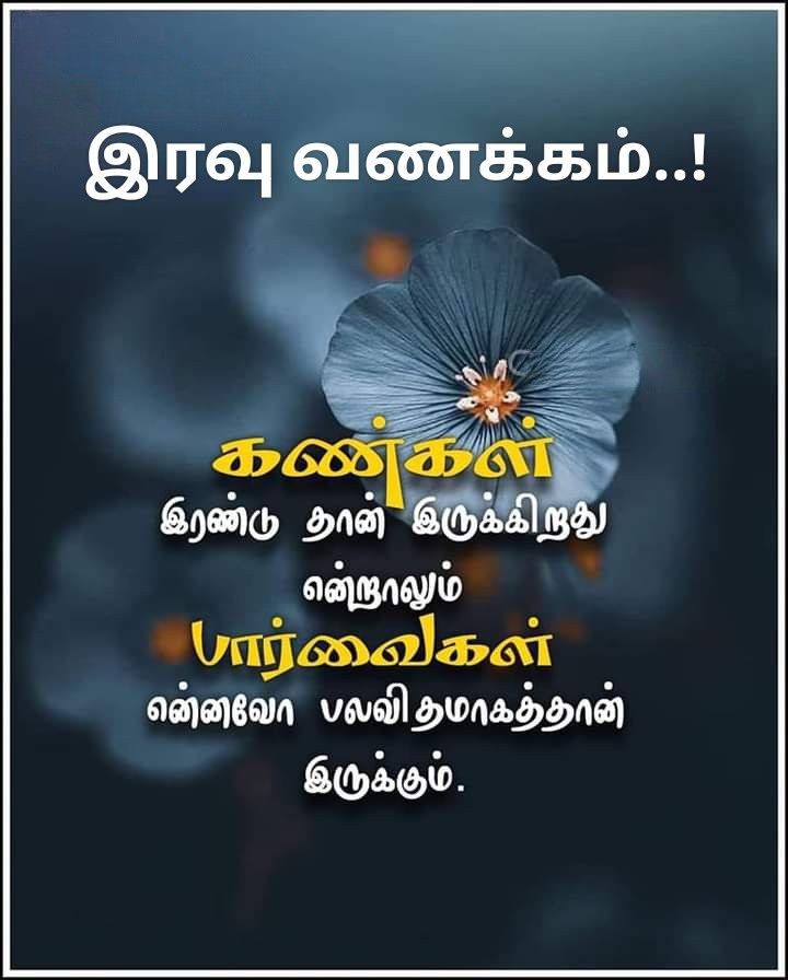 இன்று தவறியதை நாளை சரி செய்து கொள்ளுங்கள். இனிய இரவு வணக்கம்.