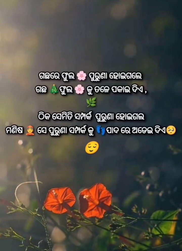 ସମ୍ପର୍କ ଠିକ ସେହିପରି