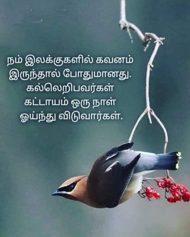 இலக்கில் கவனம் செலுத்து