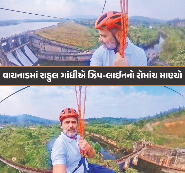 કોંગ્રેસના નેતા રાહુલ ગાંધીએ સોમવારે કેરળના વાયનાડ ખાતે ઝિપ-લાઈનની સફરનો આનંદ માણ્યો હતો. રાહુલે વાયનાડ લોકસભા બેઠક પરથી સાંસદ તરીકે રાજીનામું આપ્યાં બાદ તેમના સ્થાને કોંગ્રેસ પક્ષે તેમના બહેન અને કોંગ્રેસના મહાસચિવ પ્રિયંકા ગાંધી વાડરાને ઉમેદવાર બનાવ્યાં છે.