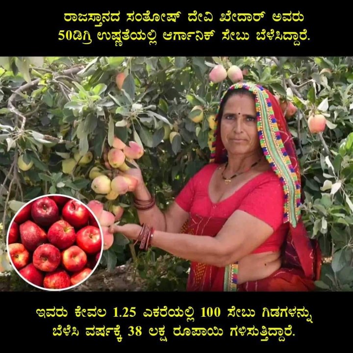 ಇವರು ಕೇವಲ 1.25 ಎಕರೆಯಲ್ಲಿ 100 ಸೇಬು ಗಿಡಗಳನ್ನು ಬೆಳೆಸಿ ವರ್ಷಕ್ಕೆ 38 ಲಕ್ಷ ರೂಪಾಯಿ ಗಳಿಸುತ್ತಿದ್ದಾರೆ.