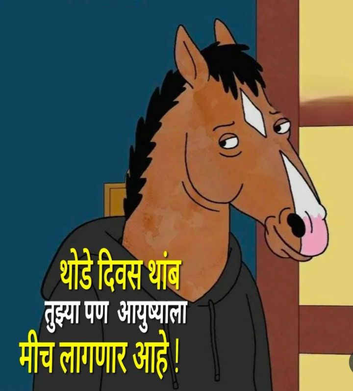 थोडे दिवस थांब