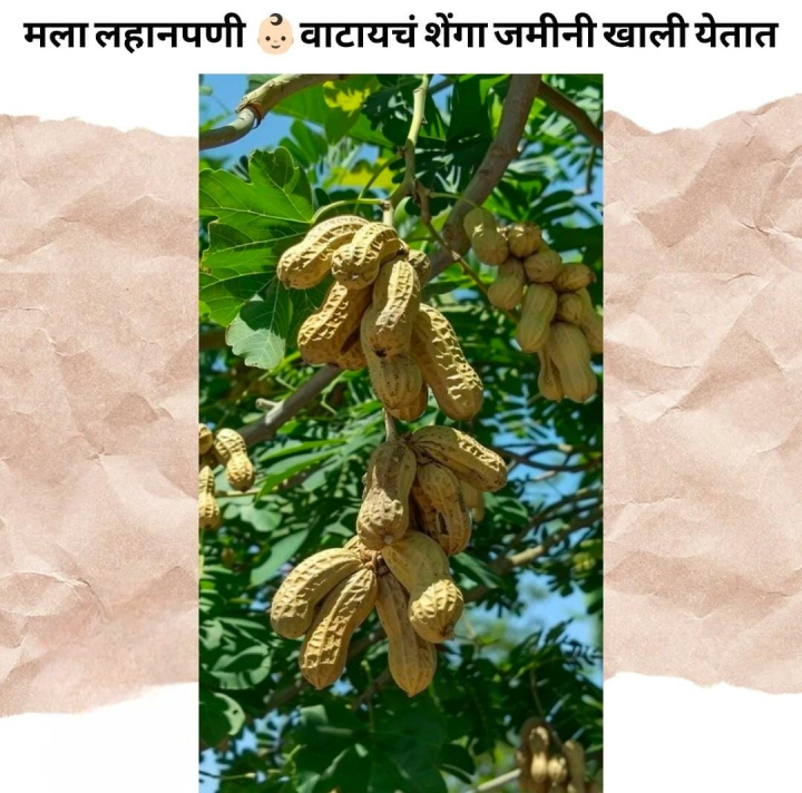 मला वाटायचं