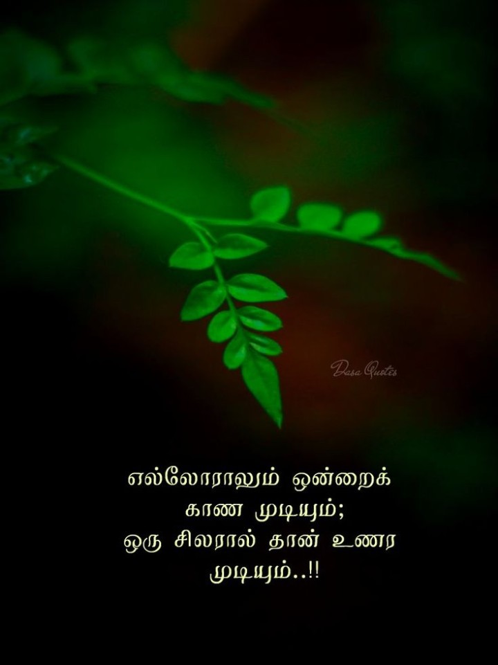 உணர்வுகள்!!