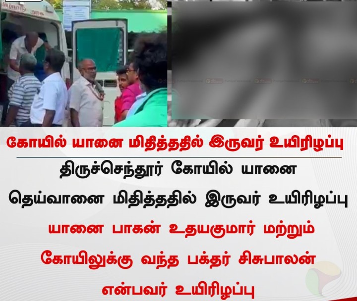 கோயில் யானை மிதித்ததில் இருவர் உயிரிழப்பு