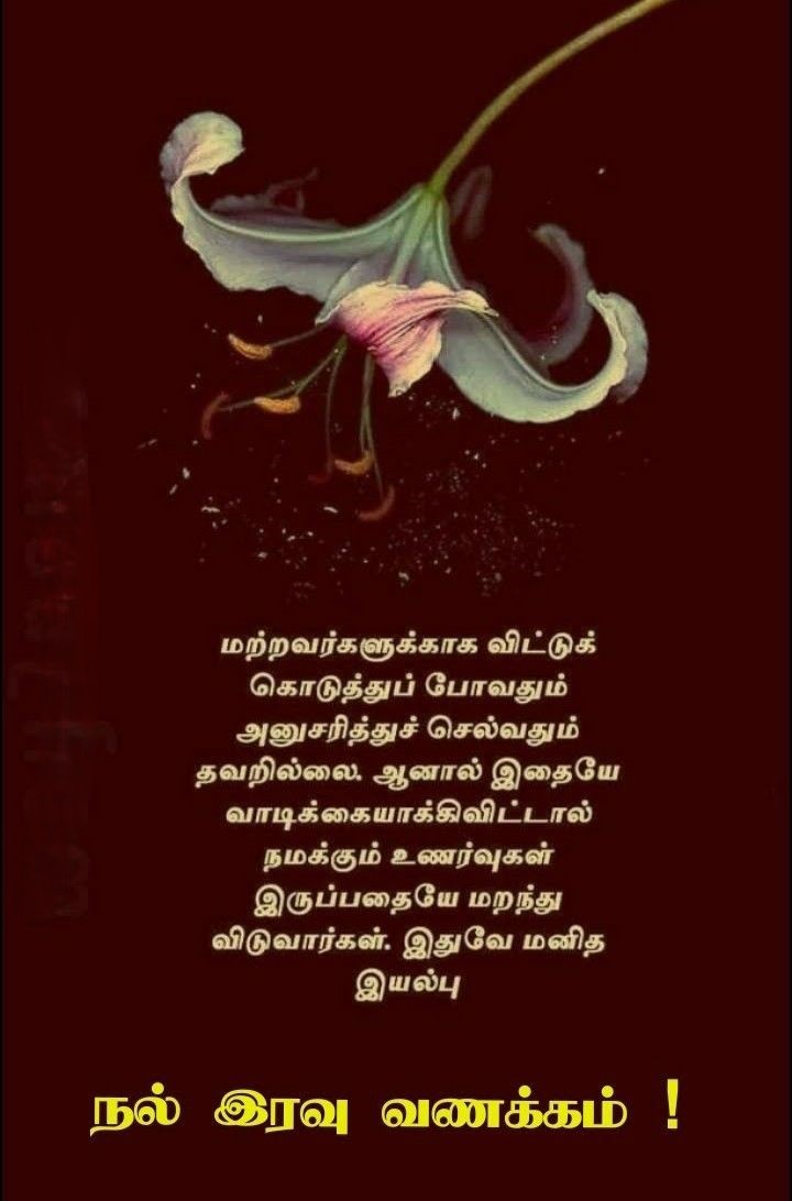இரவு வணக்கம்