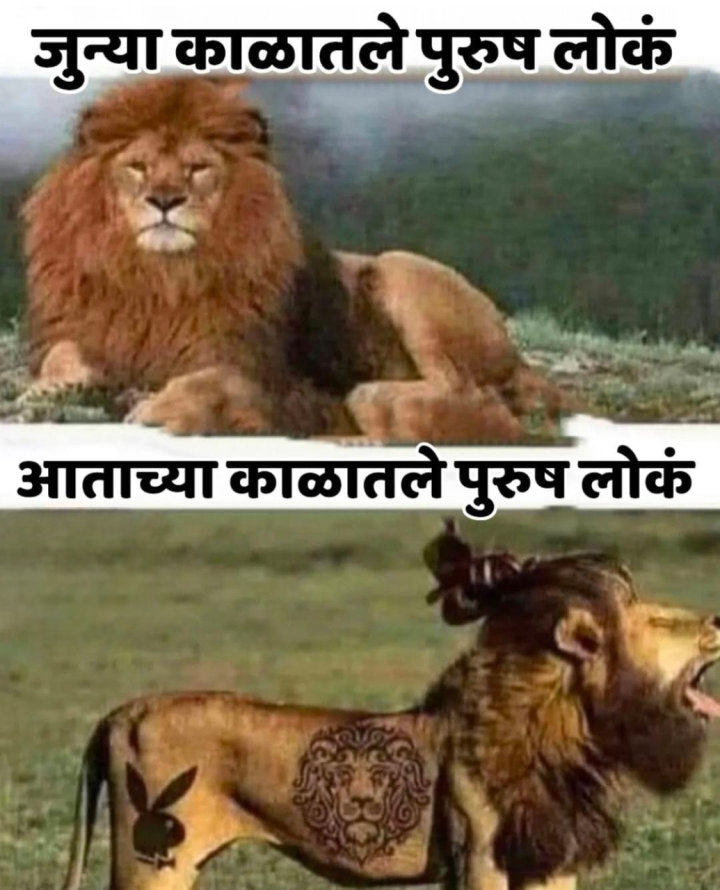 आजकालचे सिंह