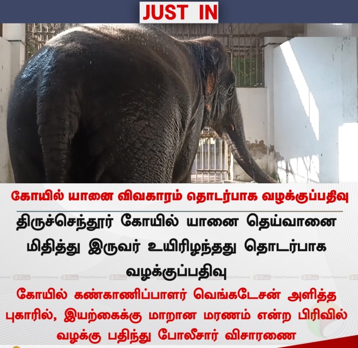 கோயில் யானை விவகாரம் தொடர்பாக வழக்குப்பதிவு