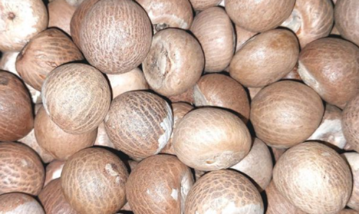 ಮಾರುಕಟ್ಟೆಯಲ್ಲಿ ಡಬ್ಬಲ್‌ ಚೋಲ್‌ ಚಾಲಿ ಅಡಿಕೆ ಧಾರಣೆ 512ಕ್ಕೆ ಏರಿಕೆ