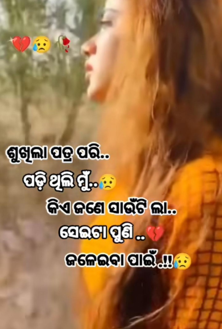 ଶୁଖିଲା ପତ୍ର ପରି