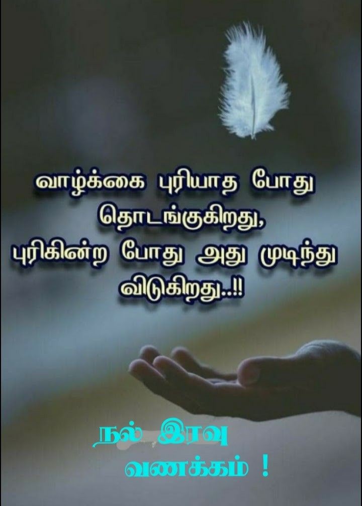 விழிகளை மூடி கவலைகளை மறந்து நிம்மதியாக உறங்கு..இனிய இரவு வணக்கம்.