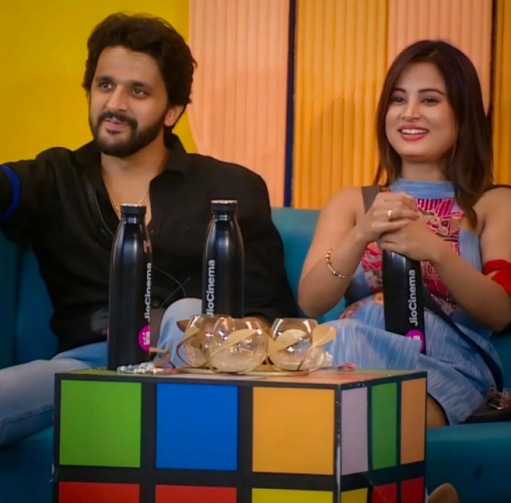 ಜೋಡಿ ಹಕ್ಕಿ