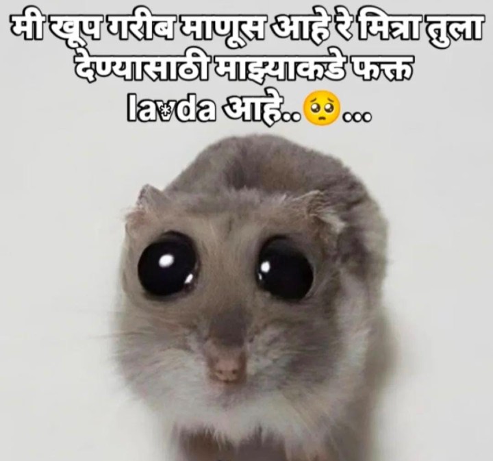 गरीब माणसाकडे फक्त एवढंच असतं