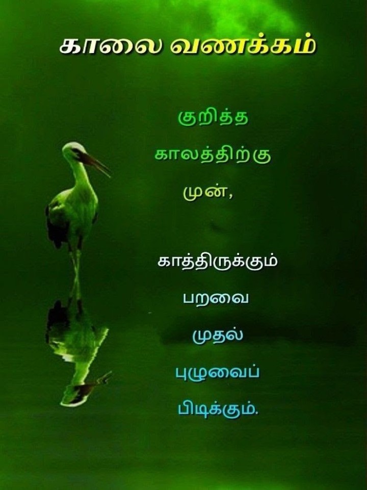 உங்கள் நாளை சிரிப்பும் சாந்தமும் நிறைவேற்றட்டும்.