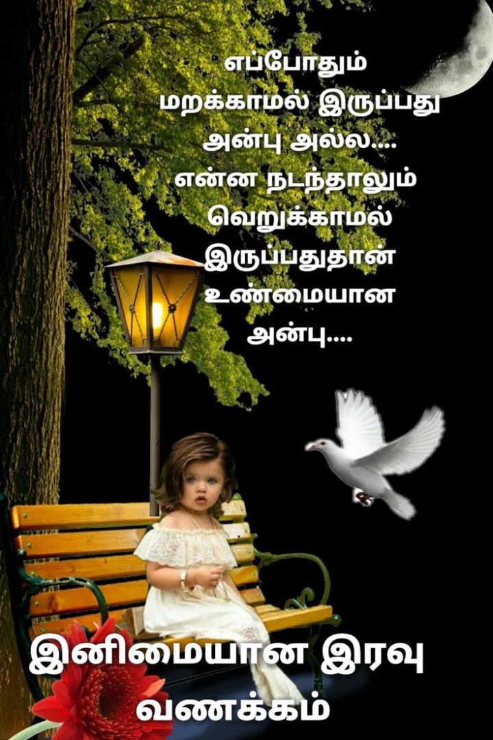 நிம்மதியாக உறங்கு..இனிய இரவு வணக்கம்