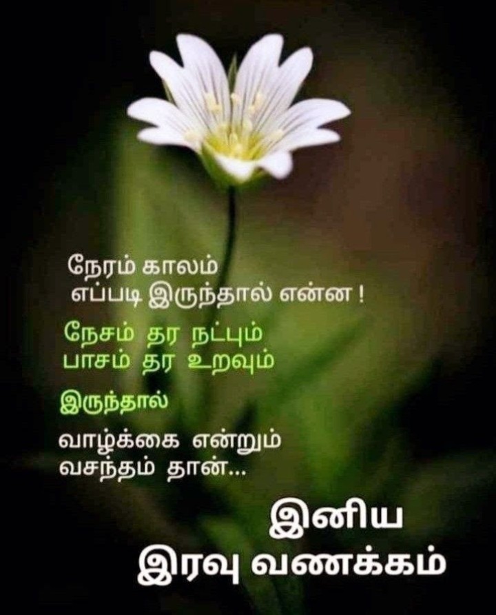 குட்டி இரவில் செல்ல தூக்கத்தில் சின்ன கனவு காணும் செல்ல இதயத்திற்கு சின்ன மனசு சொல்லும் இரவு வணக்கும்.