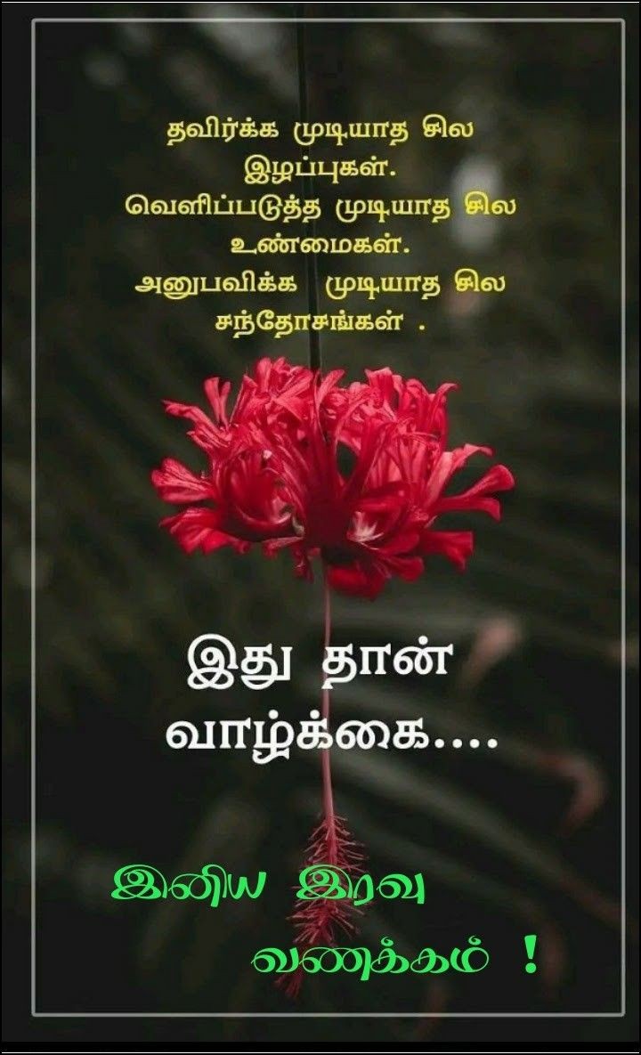 இனிய கனவுகள் காணுங்கள்!