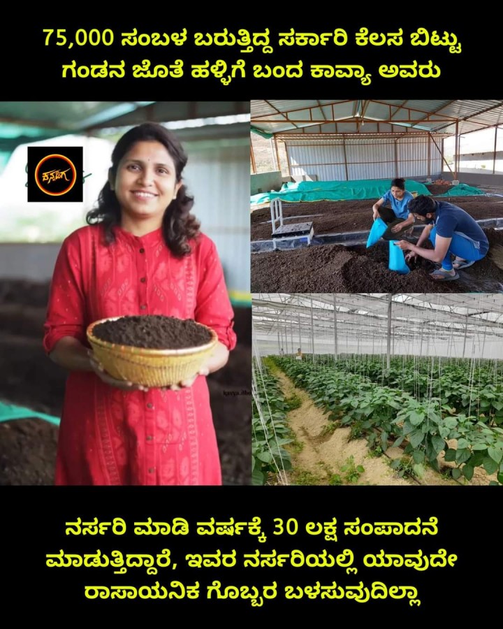 ನರ್ಸರಿ ಮಾಡಿ ವರ್ಷಕ್ಕೆ 30 ಲಕ್ಷ ಸಂಪಾದನೆ ಮಾಡುತ್ತಿದ್ದಾರೆ,