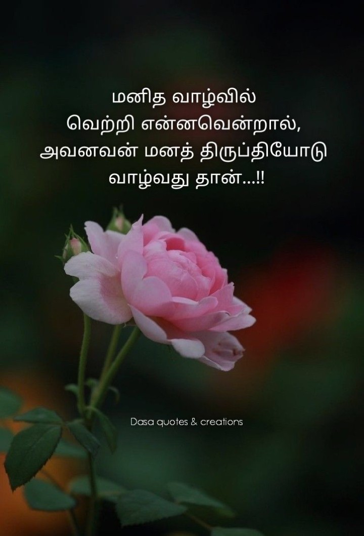 மனஅமைதி!!