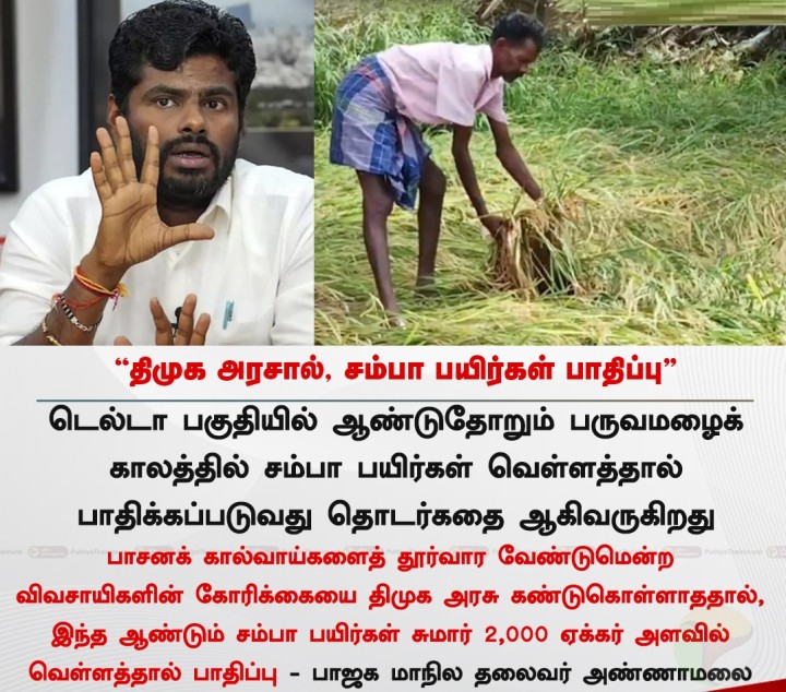திமுக அரசால் சம்பா பயிர்கள் பாதிப்பு - அண்ணாமலை