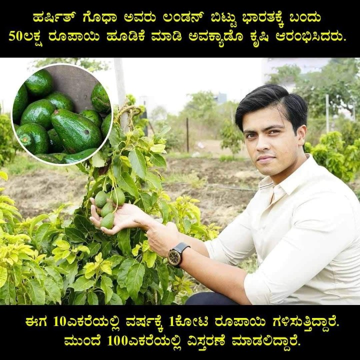 ಹರ್ಷಿತ್ ಗೊಧಾ ಅವರು ಲಂಡನ್ ಬಿಟ್ಟು ಭಾರತಕ್ಕೆ ಬಂದು 50ಲಕ್ಷ ರೂಪಾಯಿ ಹೂಡಿಕೆ ಮಾಡಿ ಅವಕ್ಯಾಡೊ ಕೃಷಿ ಆರಂಭಿಸಿದರು.