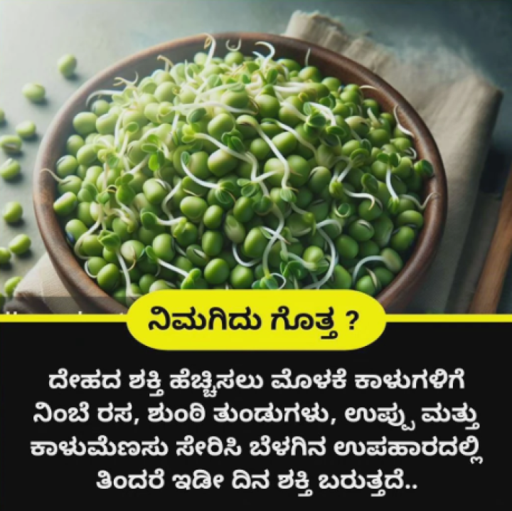 ಹೀಗೆ ಮಾಡಿ