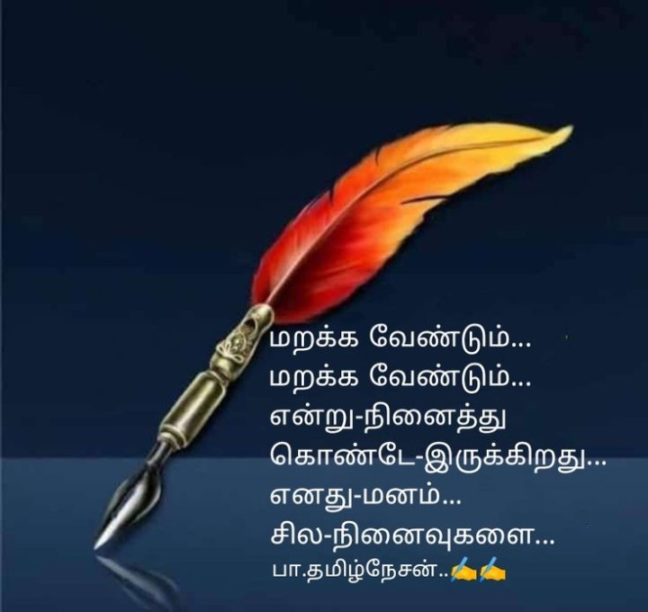 எனது மனம்..சில நினைவுகளை!!