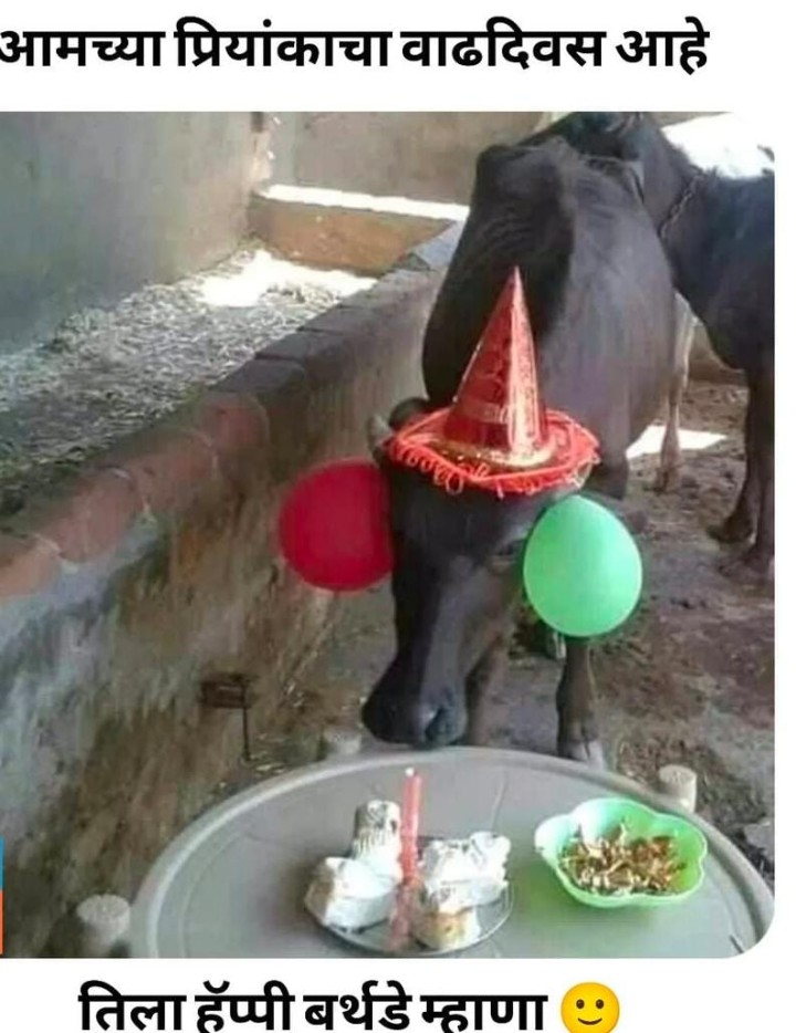 प्रियांका चा वाढदिवस