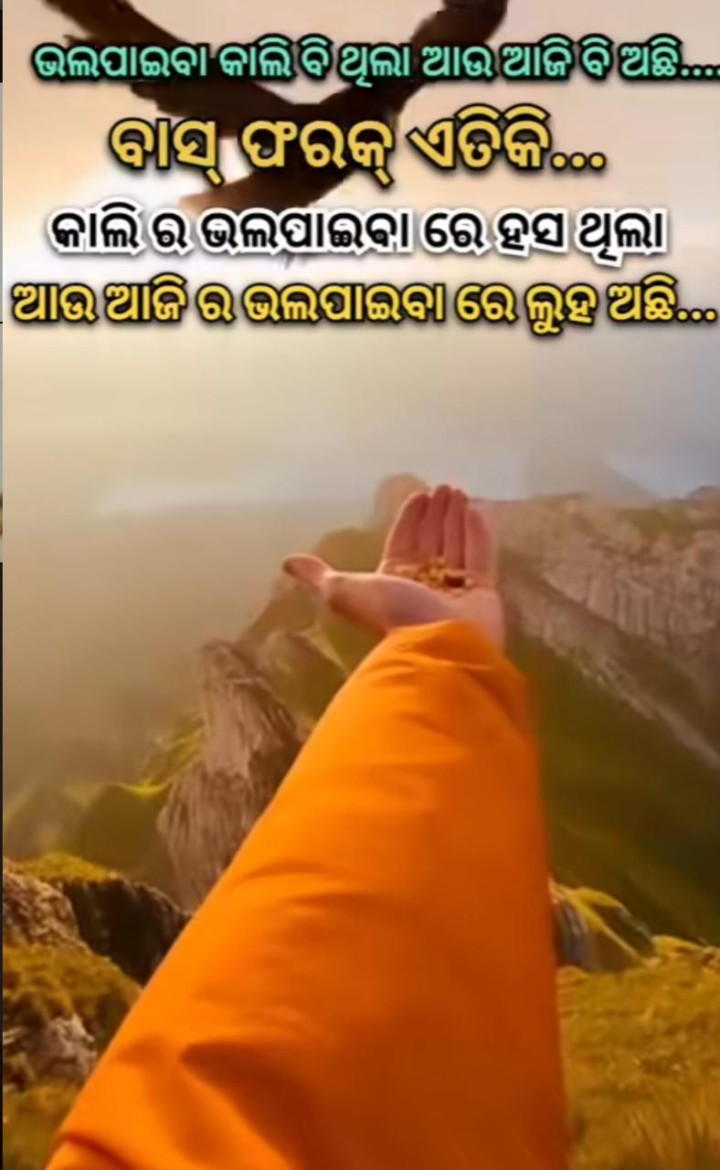 ବାସ ଫରକ ଏତିକି