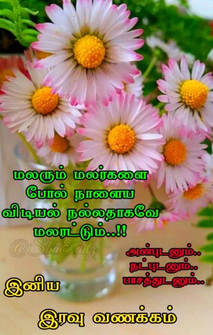 விழிகளை மூடி கவலைகளை மறந்து நிம்மதியாக உறங்கு..இனிய இரவு வணக்கம்.
