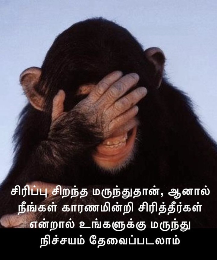 பைத்தியம்னு சொல்லுவாங்க